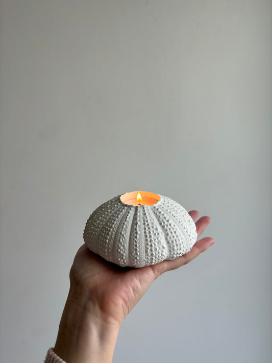 Sea urchin candle holder